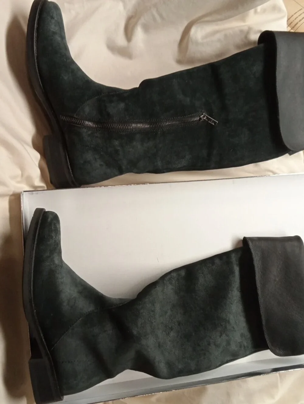 J. Crew tall over